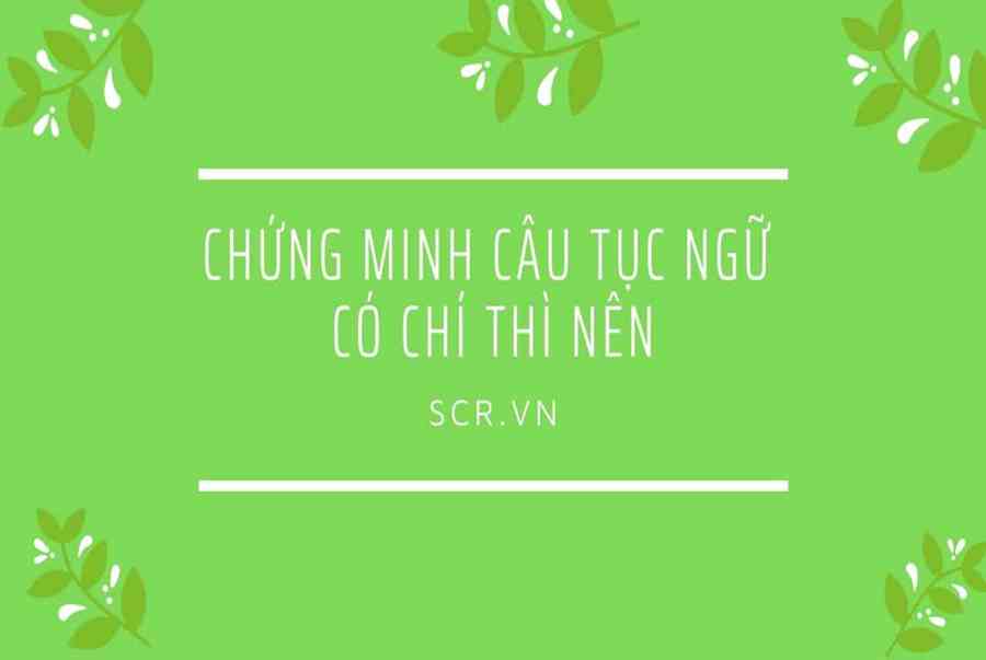 Chung Minh Cau Tuc Ngu Co Chi Thi Nen