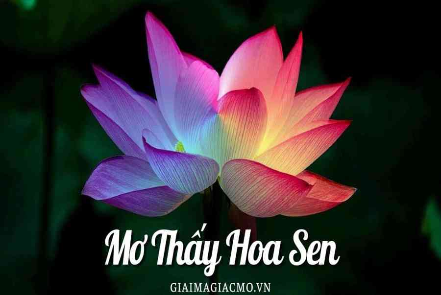 Mo Thay Hoa Sen