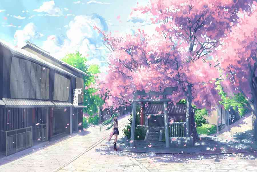 Những hình ảnh hoa anh đào anime đẹp - TBDN